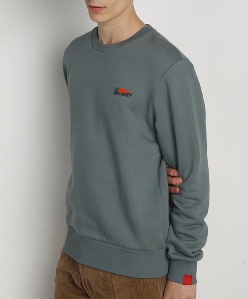 BSW158-L008 | Carrot sweater