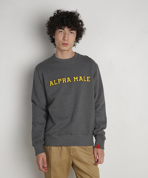BSW160-L008 | Alpha Male sweater