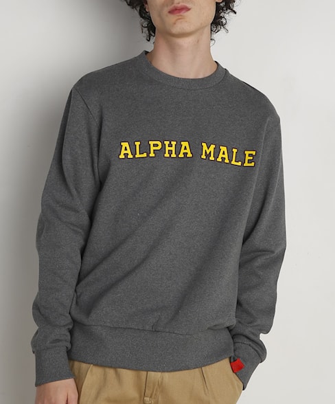BSW160-L008 | Alpha Male sweater
